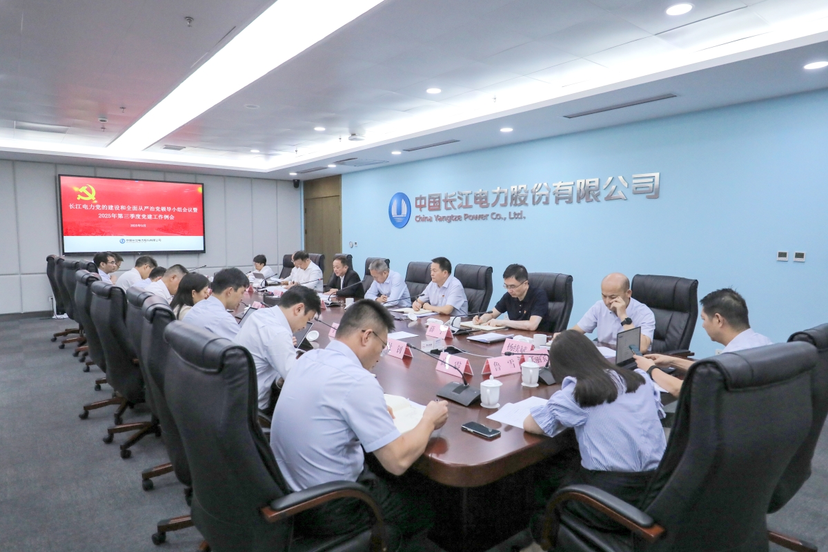 長江電力黨委召開黨的建設(shè)和全面從嚴(yán)治黨領(lǐng)導(dǎo)小組會(huì)議