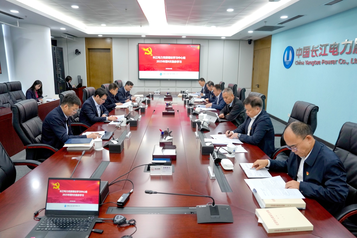 長江電力黨委理論學(xué)習(xí)中心組專題學(xué)習(xí)黨的二十屆四中全會(huì)精神